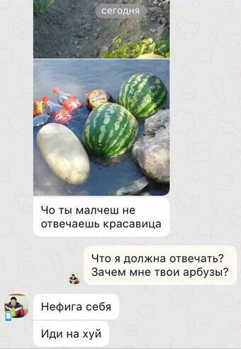 Ужасы и приколы из соцсетей 18+