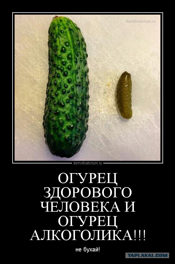 Развлекательные порталы