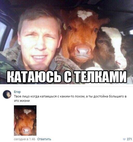 "Винегрет" из картинок всяких разных