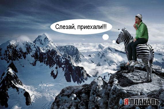 Что я тут делаю?