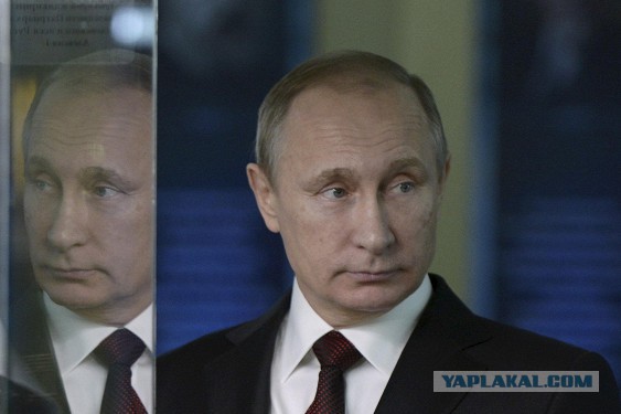 Представлен доклад о безальтернативности Путина