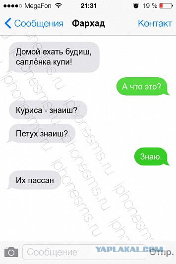 Как правильно приготовить курицу по-турецки