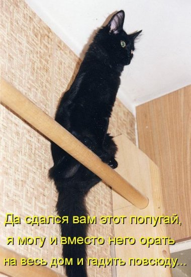 Подборка интересных и веселых картинок