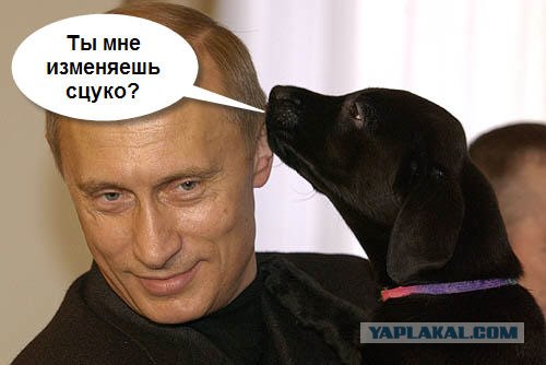 Путин и лабрадор