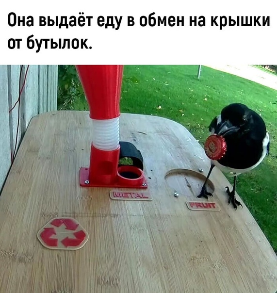 Немного картинок для настроения 30.10.20