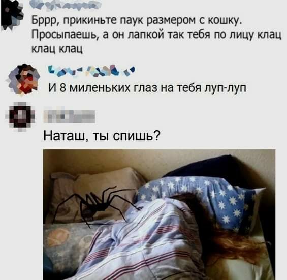Мемы про Наташу