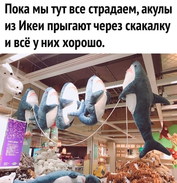 Картинки и мемы для настроения 28.07.2021