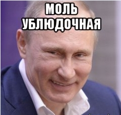 Владимир Путин предложил сделать единовременную выплату в 50 000 рублей блокадникам и награжденным за оборону Ленинграда