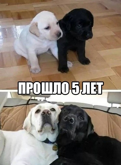 Так себе картинки 11.10.21