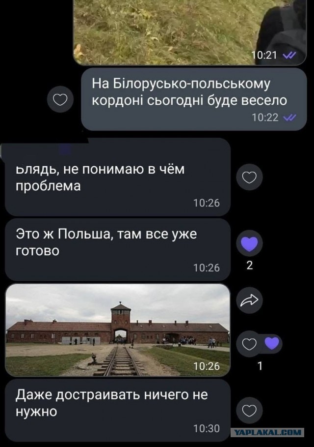 Мигрантам на границе предложили попросить убежища в Беларуси или вернуться домой