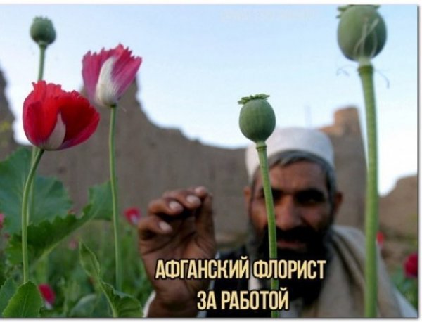 Прикольные и просто красивые картинки 30.12.2021