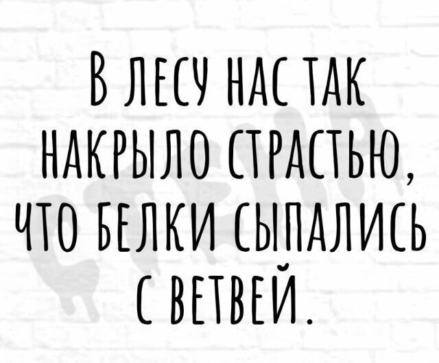 Пятница. Вечер. Картинки всякие #13