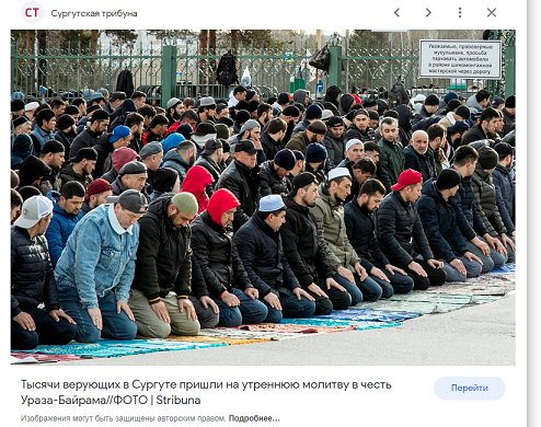 Победная поступь идиотизма по планете – том 12