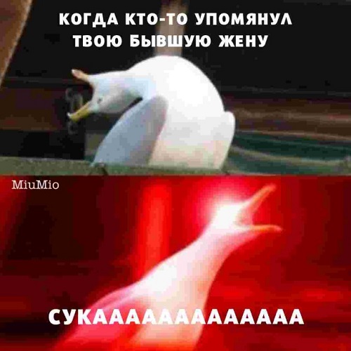 Народная меДИЧина 3027