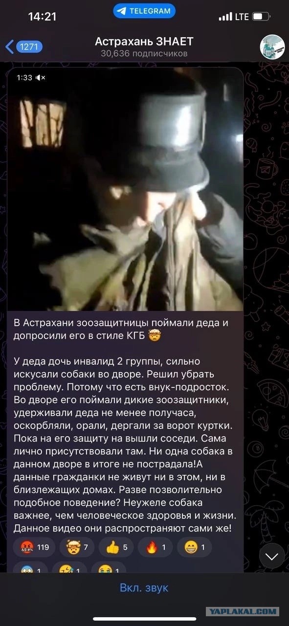 В Астрахани зоозащитники схватили пенсионера за грудки и обвинили в травле собак