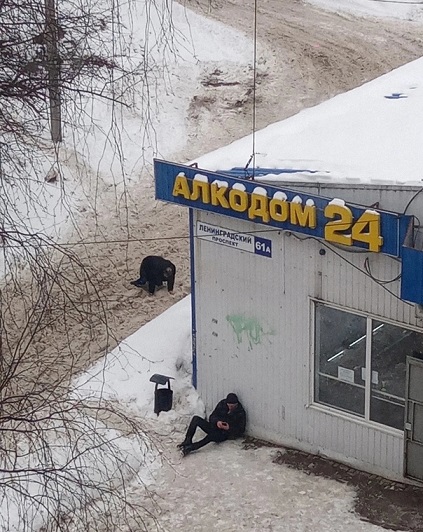 Ремонт в доме - моя страсть!