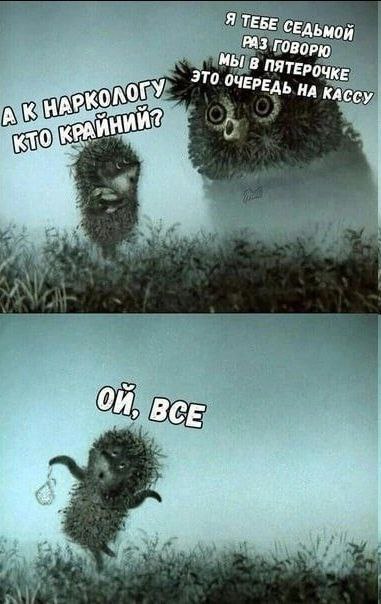 19206727.jpg