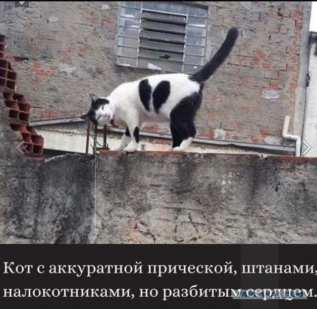 Пост накопления всякой милоты