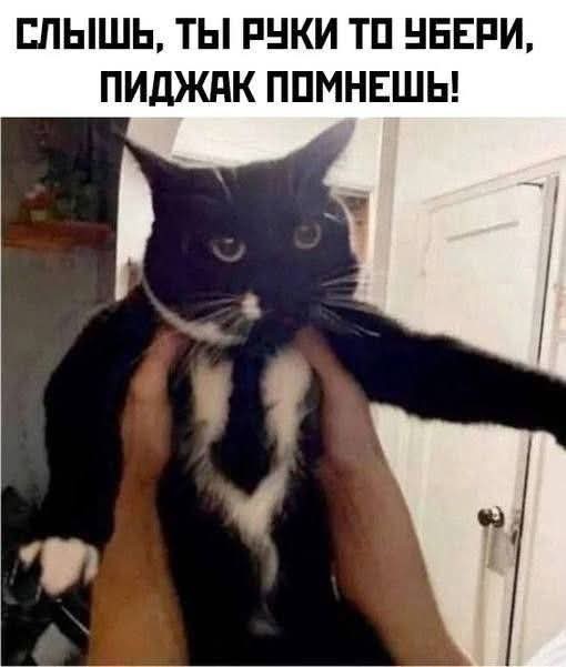 Картинки разные