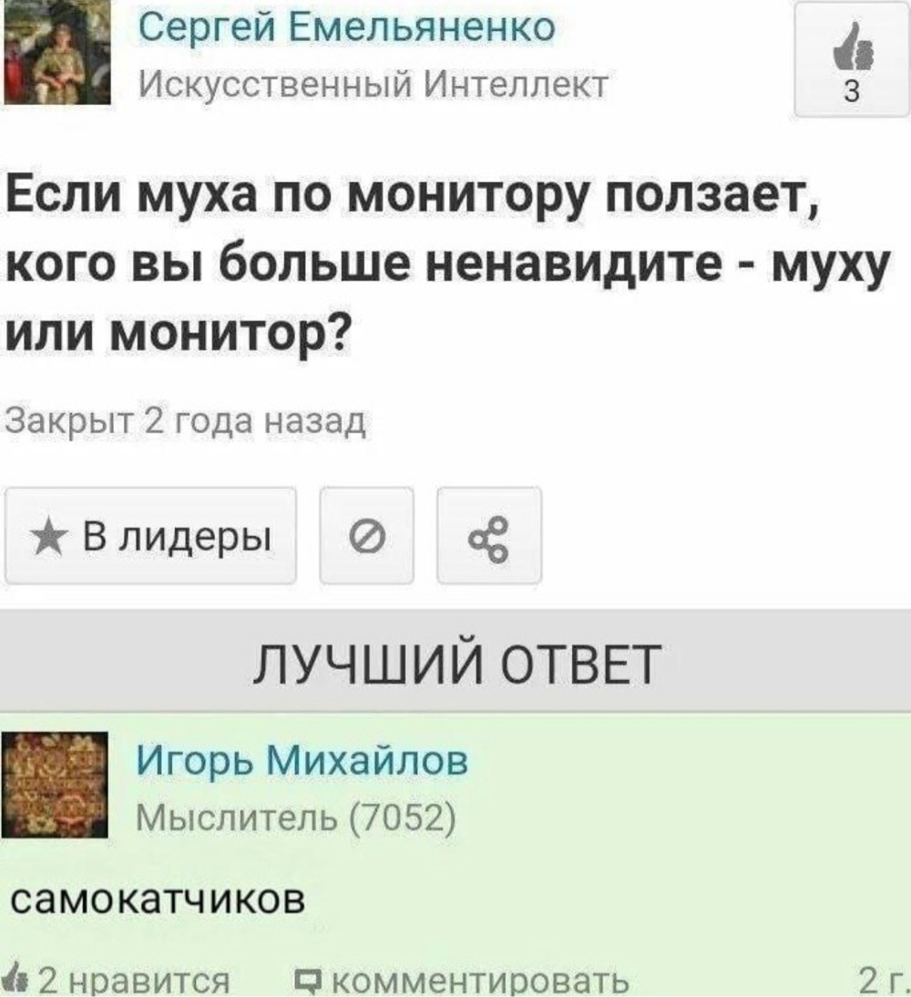 20096727.jpg