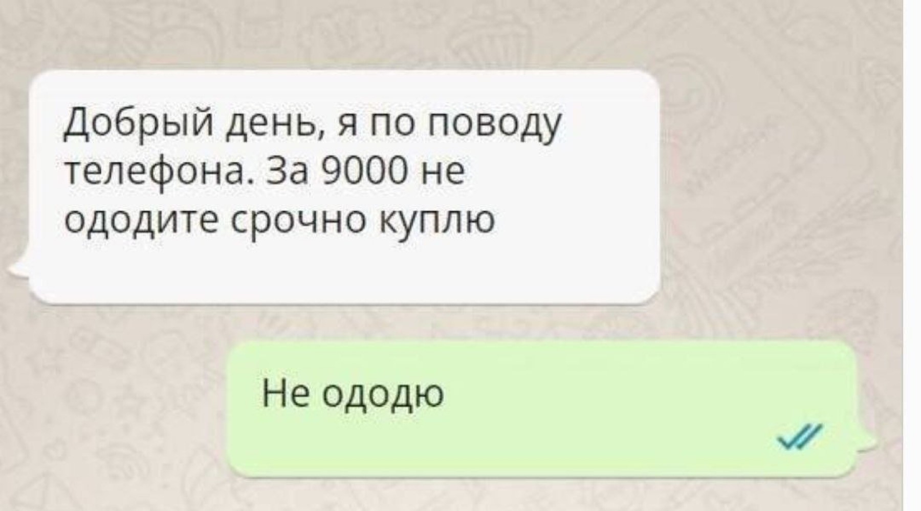 20501727.jpg