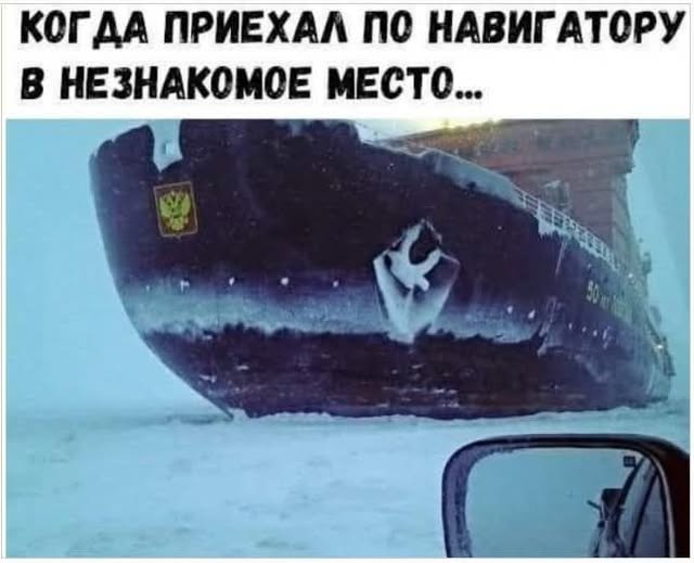 Предновогодние бояны