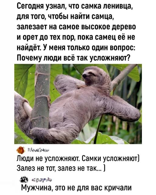 Картиночки, баянчики 31 января