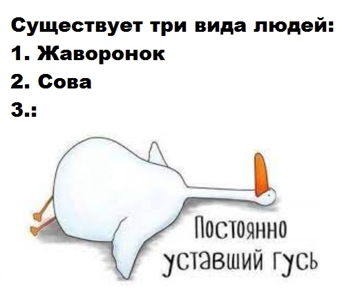 А вы сова или жаворонок?⁠⁠