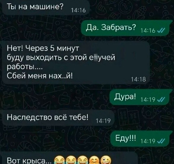 Картинки для деградации 303 (разной степени свежести)