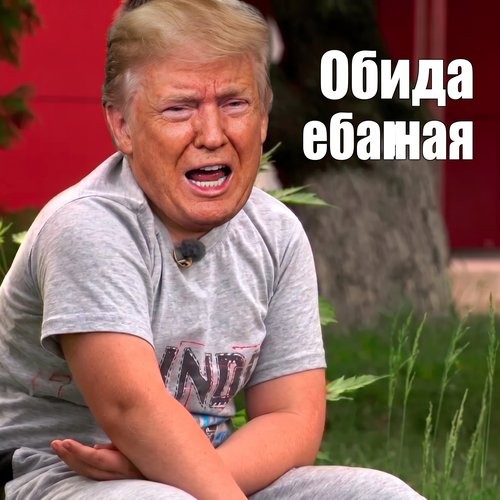 Трамп: Норвегия превратилась в страну - сортир
