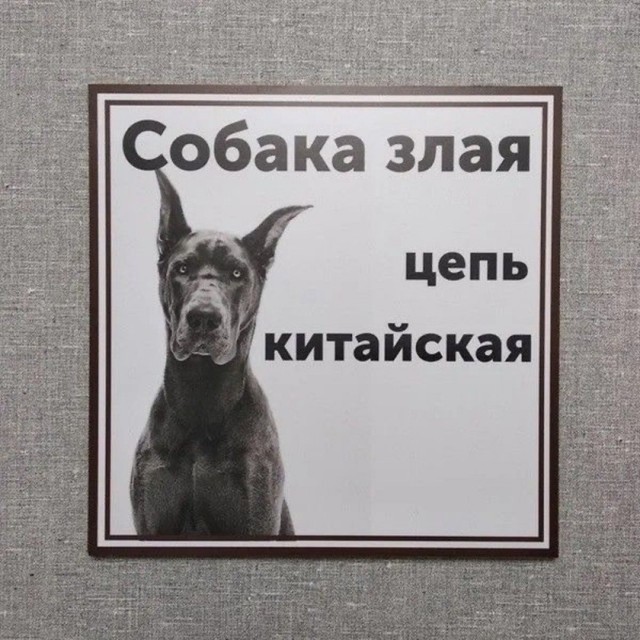 Картинки для деградации 309 (разной степени свежести)