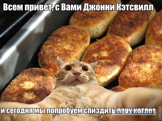 Джонни Кэтсвилл