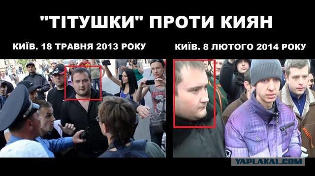 "Георгиевские " ленточки против флагов УПА