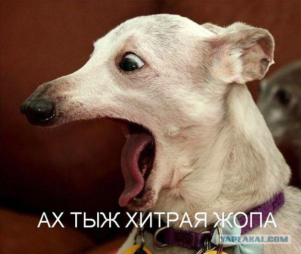 Был большой соблазн...
