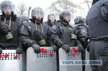 Здраствуй брат!