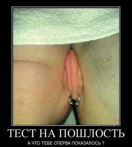 Фильтруй базар