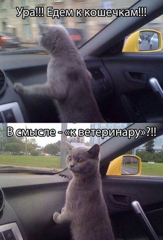 Москва - Пробка России