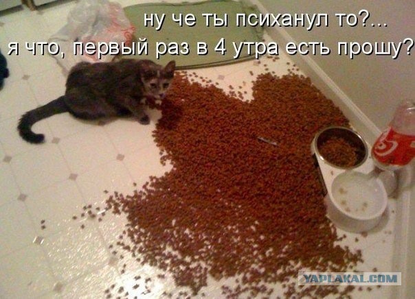 Демотиваторов пост, добавляйте свои