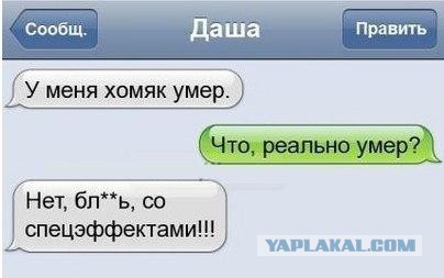 24 СМС от Циников