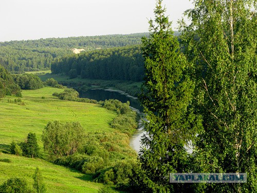 Хочу в Россию.