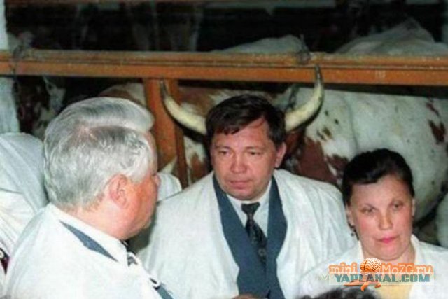 "Неудачные" семейные фотографии