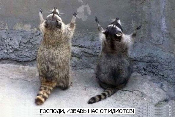 Крушение теплохода под Казанью