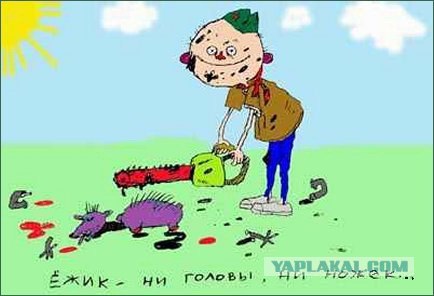 Ежик и объективно мыслящая маленькая девочка