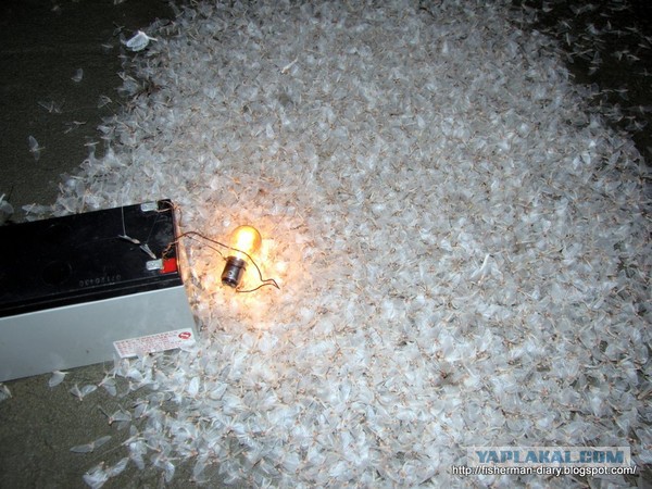 17 лет под землей и 1 месяц на свободе