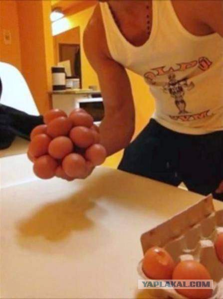 Подборка веселых картинок