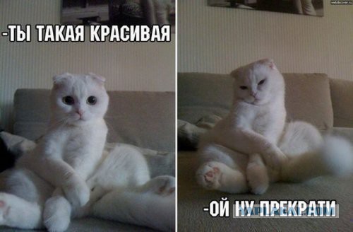 Подборка прикольных фото на среду