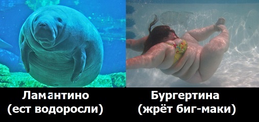 Ужасы и приколы из соцсетей 18+