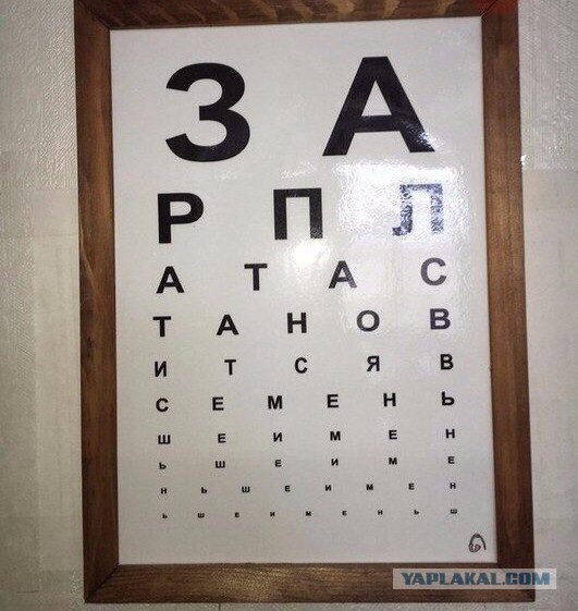 Прикольные картинки из интернета