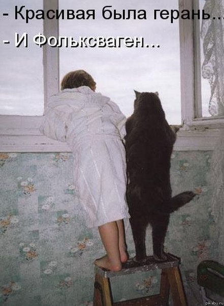 18 фотографий, которые сделают ваш день чуточку счастливее!