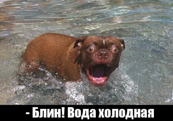 Вода тёплая, говорили они